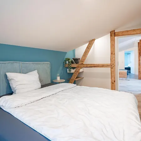 Gustava 31 Апартаменты *